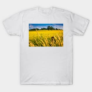 Summer Wheat Field 3 T-Shirt